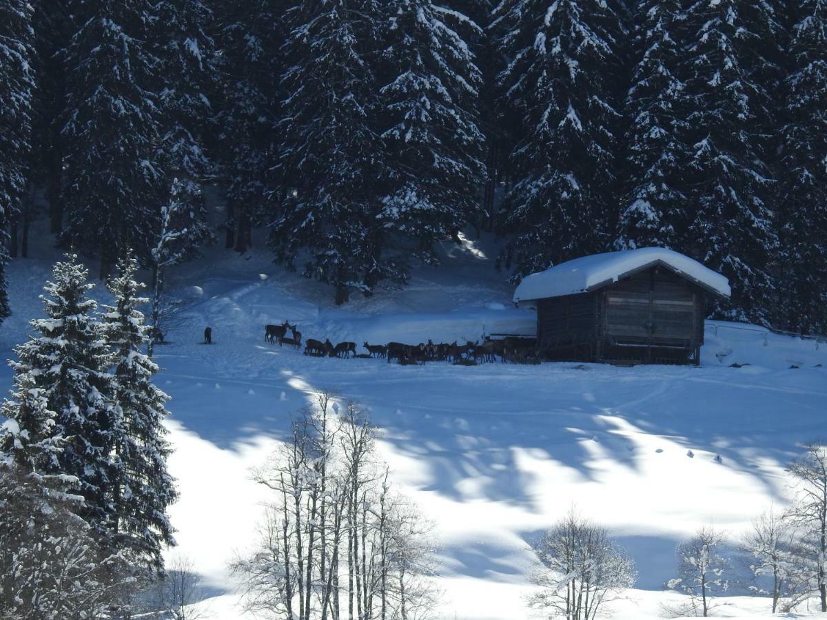 Blockhaus Ganschitter Apartment Grossarl Exterior photo
